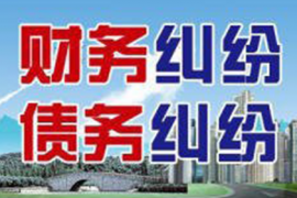 蘇寧富二代被建行追債17億